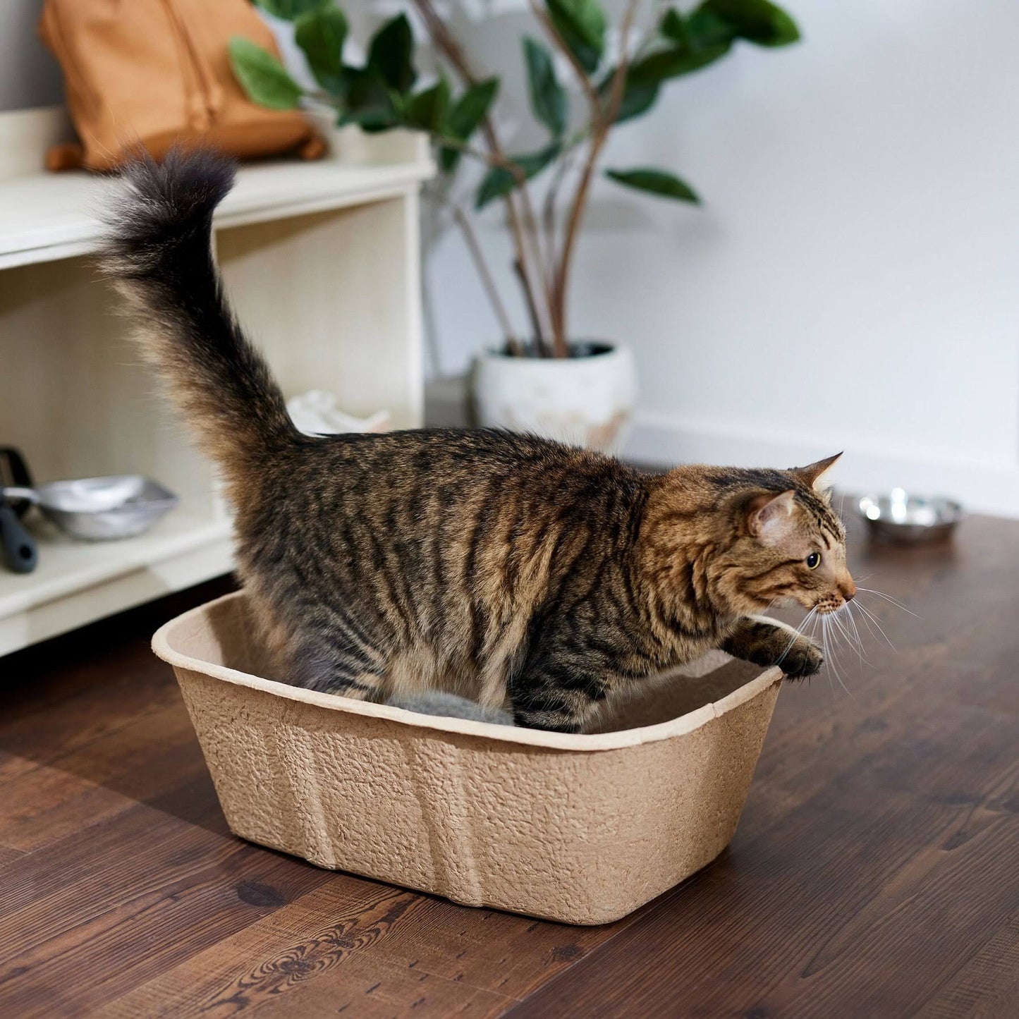 Frisco High-Sided Disposable Cat Litter Box